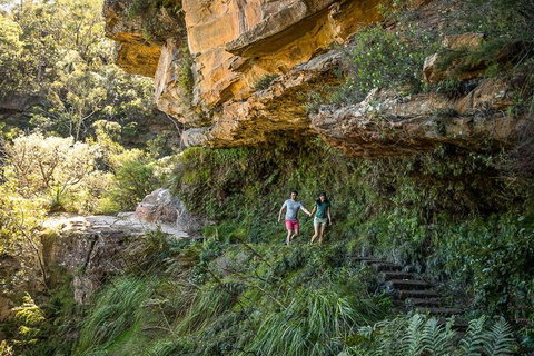 Private Guided: Blue Mountains Hiking & Nature Tour - Tourism Gold Coast 1