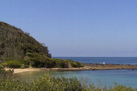 Broulee Island Nature Reserve: An Audio Tour Of This Tranquil Island Paradise - Tourism Gold Coast 4