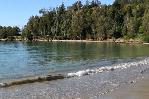 Broulee Island Nature Reserve: An Audio Tour Of This Tranquil Island Paradise - Tourism Gold Coast 0