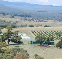 Truffle Hunt and Luncheon - Tourism Gold Coast
