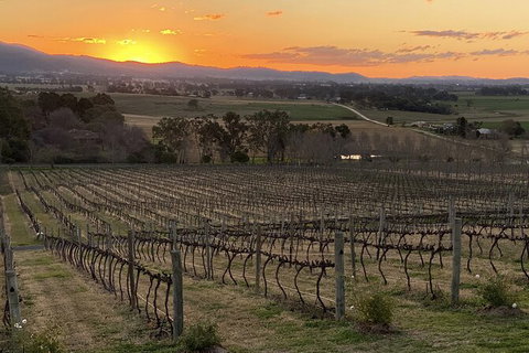 Mudgee 2 Day Private Wine Tasting And Sightseeing Tour From Sydney - Tourism Gold Coast 15