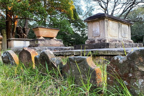 Newtown Walking Tour With Historic Camperdown Cemetery - Tourism Gold Coast 1