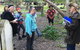 Newtown Walking Tour With Historic Camperdown Cemetery - thumb 4