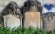 Newtown Walking Tour With Historic Camperdown Cemetery - thumb 2