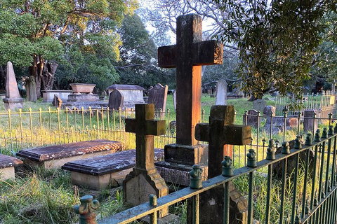 Newtown Walking Tour With Historic Camperdown Cemetery - Tourism Gold Coast 6