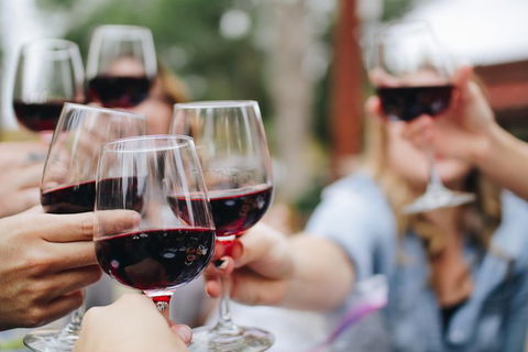 Six Hour - Plan Your Own Wine And Cheese Tour Hunter Valley - Tourism Gold Coast 8