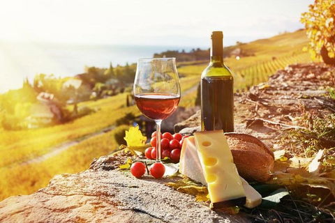 Six Hour - Plan Your Own Wine And Cheese Tour Hunter Valley - Tourism Gold Coast 0