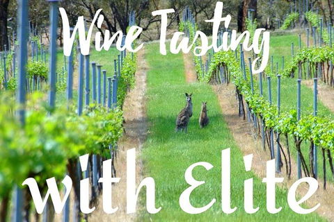 Six Hour - Plan Your Own Wine And Cheese Tour Hunter Valley - Tourism Gold Coast 7