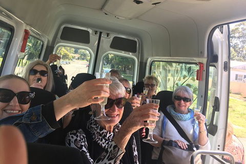 Six Hour - Plan Your Own Wine And Cheese Tour Hunter Valley - Tourism Gold Coast 1