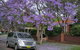 Central Coast To Sydney/ Sydney Airport Transfers - thumb 0