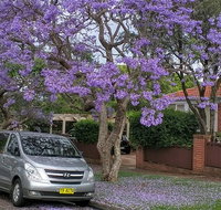 Central Coast to Sydney/ Sydney Airport Transfers - Tourism Gold Coast