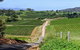 The Complete Hunter Valley Wine Tour Of Pokolbin, Mt View, Lovedale And Rothbury - thumb 0