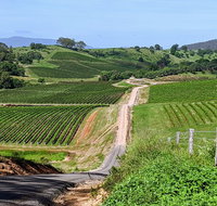 The Complete Hunter Valley Wine Tour of Pokolbin Mt View Lovedale and Rothbury - Tourism Gold Coast
