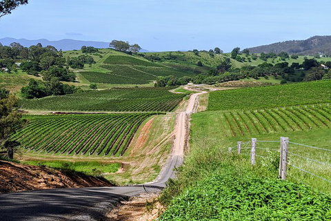 The Complete Hunter Valley Wine Tour Of Pokolbin, Mt View, Lovedale And Rothbury - Tourism Gold Coast 0