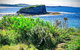 Erupting Blowholes And Ancient Rainforests With \'Personalised Sydney Tours\' - thumb 4