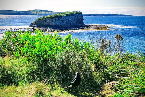 Erupting Blowholes And Ancient Rainforests With \'Personalised Sydney Tours\' - Tourism Gold Coast 4