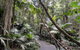 Erupting Blowholes And Ancient Rainforests With \'Personalised Sydney Tours\' - thumb 1