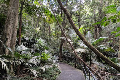 Erupting Blowholes And Ancient Rainforests With \'Personalised Sydney Tours\' - Tourism Gold Coast 1