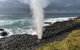 Erupting Blowholes And Ancient Rainforests With \'Personalised Sydney Tours\' - thumb 6