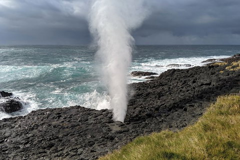 Erupting Blowholes And Ancient Rainforests With \'Personalised Sydney Tours\' - Tourism Gold Coast 6