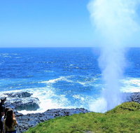 Erupting Blowholes and Ancient Rainforests with 'Personalised Sydney Tours' - Tourism Gold Coast