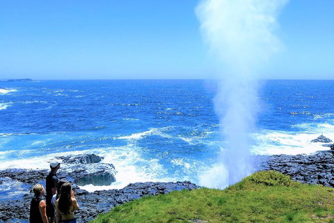 Erupting Blowholes And Ancient Rainforests With \'Personalised Sydney Tours\' - Tourism Gold Coast 0