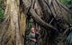 Erupting Blowholes And Ancient Rainforests With \'Personalised Sydney Tours\' - thumb 3