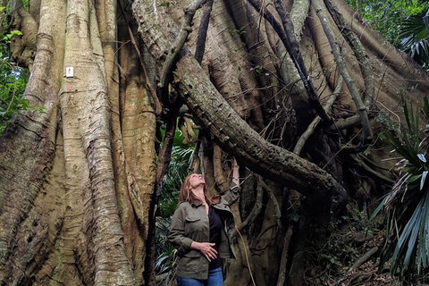 Erupting Blowholes And Ancient Rainforests With \'Personalised Sydney Tours\' - Tourism Gold Coast 3