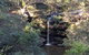 Australian Wildlife & Waterfalls Private Tour With \'Personalised Sydney Tours\' - thumb 7