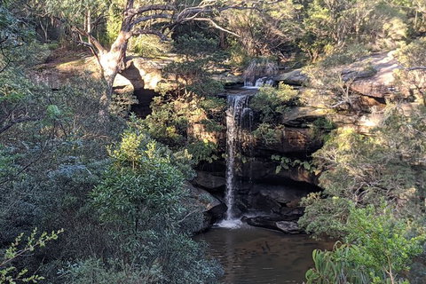 Australian Wildlife & Waterfalls Private Tour With \'Personalised Sydney Tours\' - Tourism Gold Coast 7