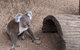 Australian Wildlife & Waterfalls Private Tour With \'Personalised Sydney Tours\' - thumb 5