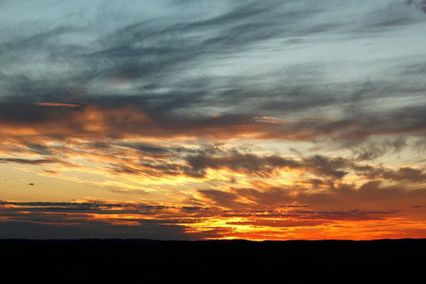 Outback Sunset Sculpture Tour - Tourism Gold Coast 1