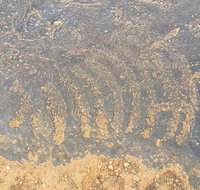 Aboriginal Rock Art - Tourism Gold Coast