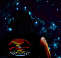 Night 4WD  Guided Glow Worm Tour Wildlife Spotlighting Blue Mountains Adventure - Tourism Gold Coast