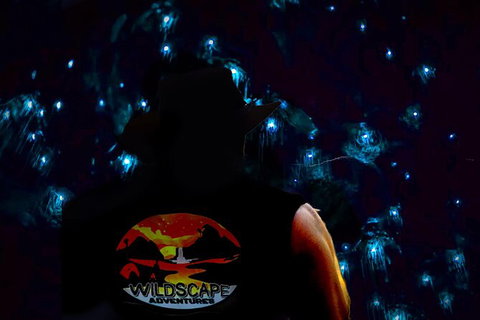 Night 4WD & Guided Glow Worm Tour Wildlife Spotlighting Blue Mountains Adventure - Tourism Gold Coast 0