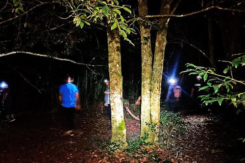 Night 4WD & Guided Glow Worm Tour Wildlife Spotlighting Blue Mountains Adventure - Tourism Gold Coast 5