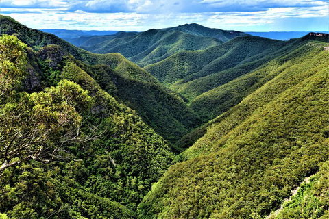 Jenolan Caves Blue Mountains And Kanangra Walls Look Out 4WD Day Tour - Tourism Gold Coast 5