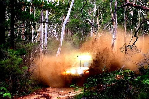 Jenolan Caves Blue Mountains And Kanangra Walls Look Out 4WD Day Tour - Tourism Gold Coast 7