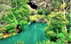 Jenolan Caves Blue Mountains And Kanangra Walls Look Out 4WD Day Tour - thumb 3