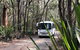Royal National Park Shuttle Bus To The Coast Track - thumb 0