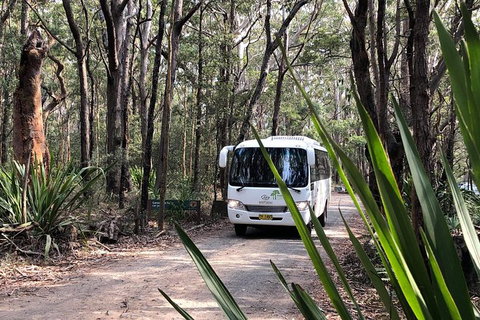 Royal National Park Shuttle Bus To The Coast Track - Tourism Gold Coast 0
