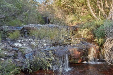 Wilderness Kayak Adventure With Gourmet Food - Tourism Gold Coast 5