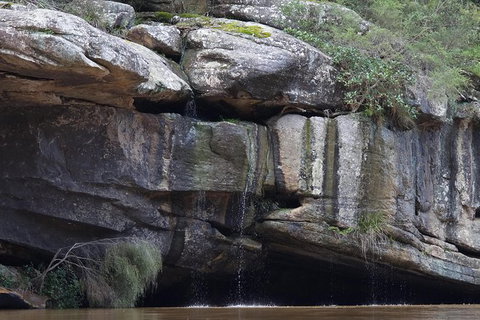 Wilderness Kayak Adventure With Gourmet Food - Tourism Gold Coast 1
