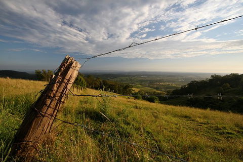 Private Full-Day Wine Tour In Hunter Valley - Tourism Gold Coast 3
