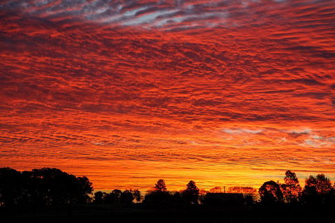 Private Full-Day Wine Tour In Hunter Valley - Tourism Gold Coast 0