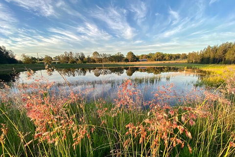 Private Full-Day Wine Tour In Hunter Valley - Tourism Gold Coast 5