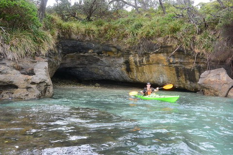 Half-Day Jervis Bay Sea Kayak Tour - Gold Coast 8