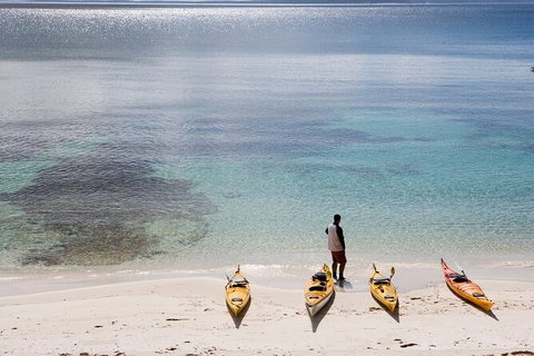 Half-Day Jervis Bay Sea Kayak Tour - Gold Coast 2