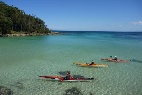Half-Day Jervis Bay Sea Kayak Tour - Gold Coast 3
