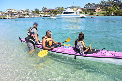 Half-Day Jervis Bay Sea Kayak Tour - Gold Coast 1